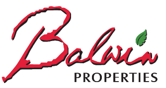balwin logo